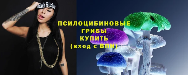 гашик Горно-Алтайск