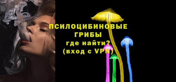 гашиш Касимов