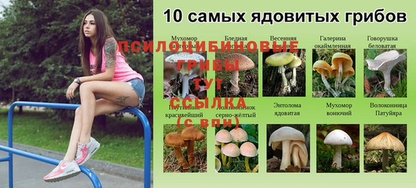 каннабис Горняк