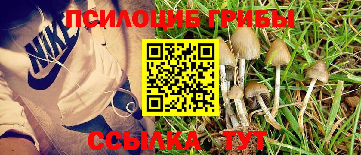 Псилоцибиновые грибы мицелий Мелеуз