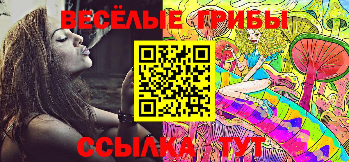 Мелеуз  Псилоцибиновые грибы прущие грибы  Вход с VPN 