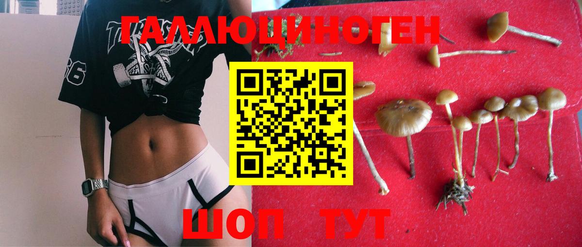 Галлюциногенные грибы GOLDEN TEACHER Мелеуз